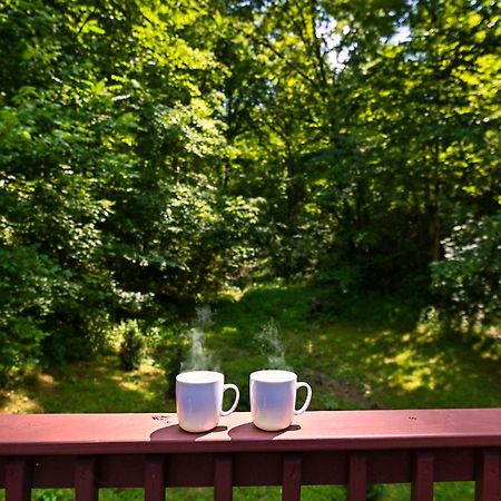 Smoky Mountains Hut Tub Cabin Dog Friendly Sevierville Exterior foto